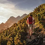 Naturhotel Laerchenhof 4* Ramsau am Dachstein