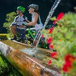 Naturhotel Laerchenhof Hotell Ramsau am Dachstein