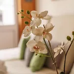 Naturhotel Laerchenhof Ramsau am Dachstein