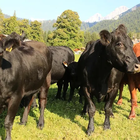 Naturhotel Laerchenhof ホテル 4*