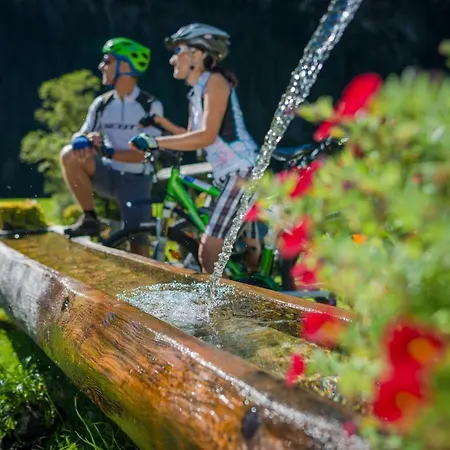 Naturhotel Laerchenhof Hotel Ramsau am Dachstein