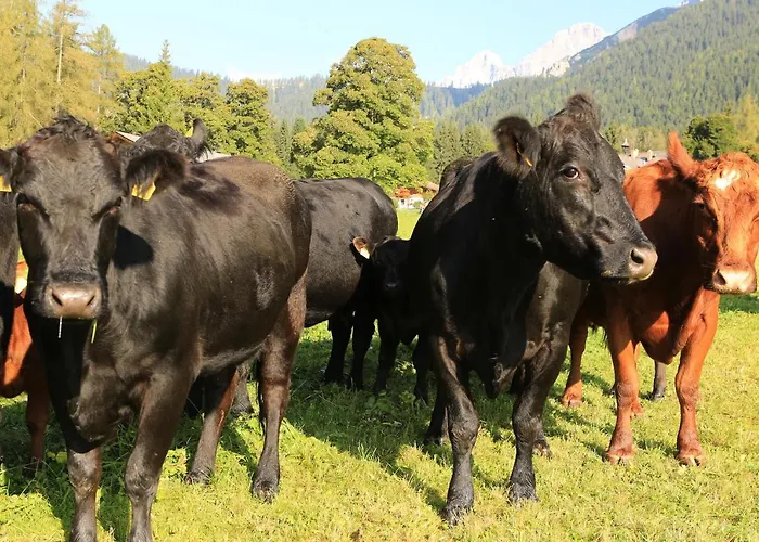 Naturhotel Laerchenhof Hotel 4*