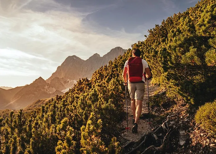 Naturhotel Laerchenhof 4* Ramsau am Dachstein