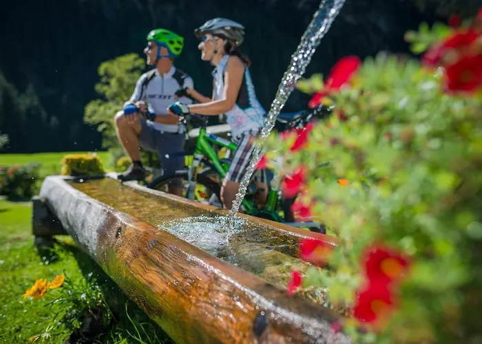 Naturhotel Laerchenhof Hotel Ramsau am Dachstein