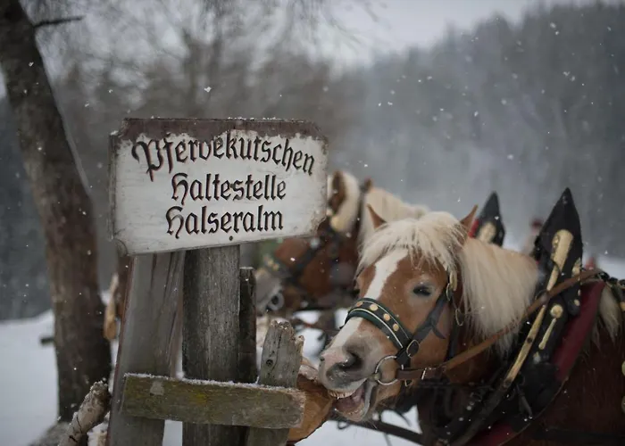 Naturhotel Laerchenhof Hotel 4*